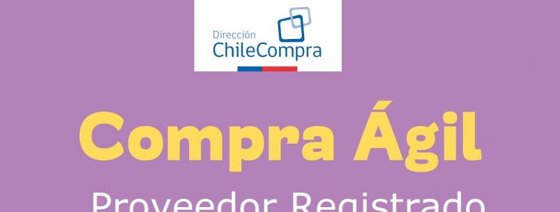 Proveedor Chile Compra Agil
